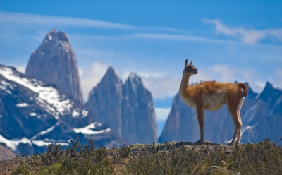 Preestreno: Mejor época para viajar a Argentina